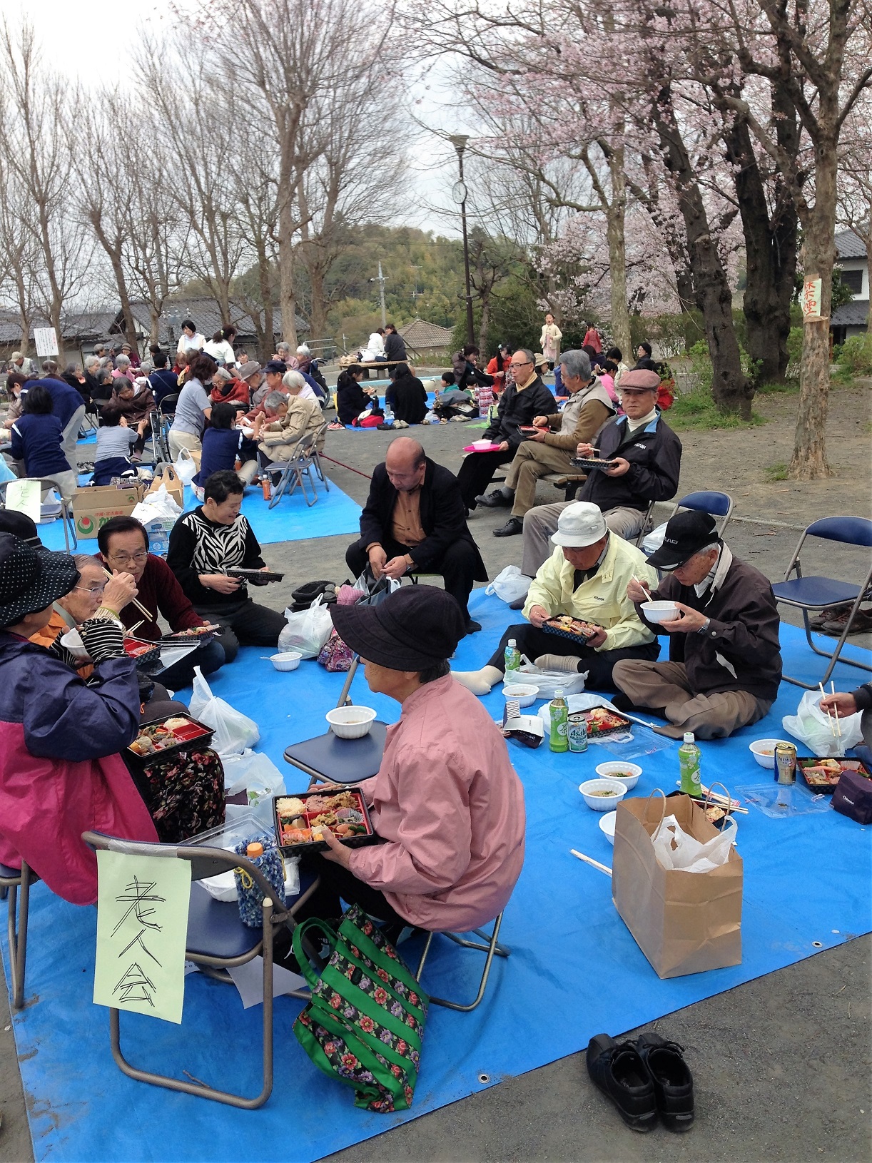４月１日（金曜日）に社協のお花見に参加させていただきました。